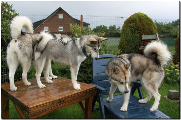 Besuch Nanooq 043.jpg